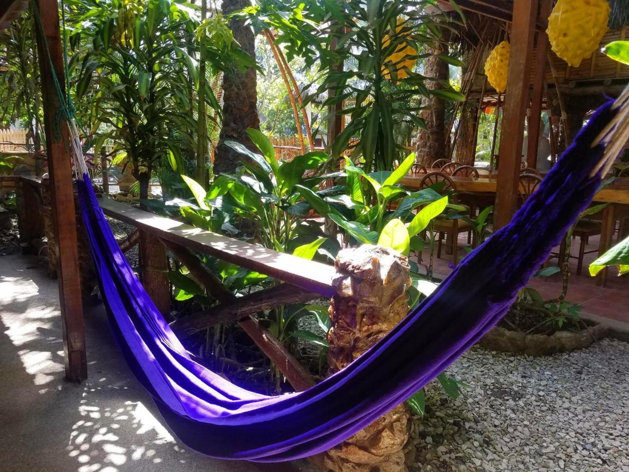 Hostal Casa Del Sol